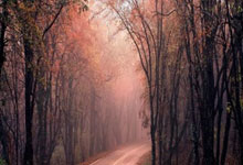 客战沙特 国足防线再遇严峻考验.