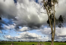 非凡娱乐:迈阿密大师赛阿尔卡拉斯.