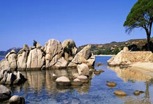 马尔基尼奥斯:很久没赢阿根廷了,与他们的比赛都是决赛.